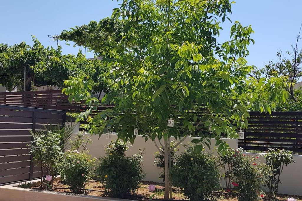E&G Relax Homes-G Kissamos Exterior photo